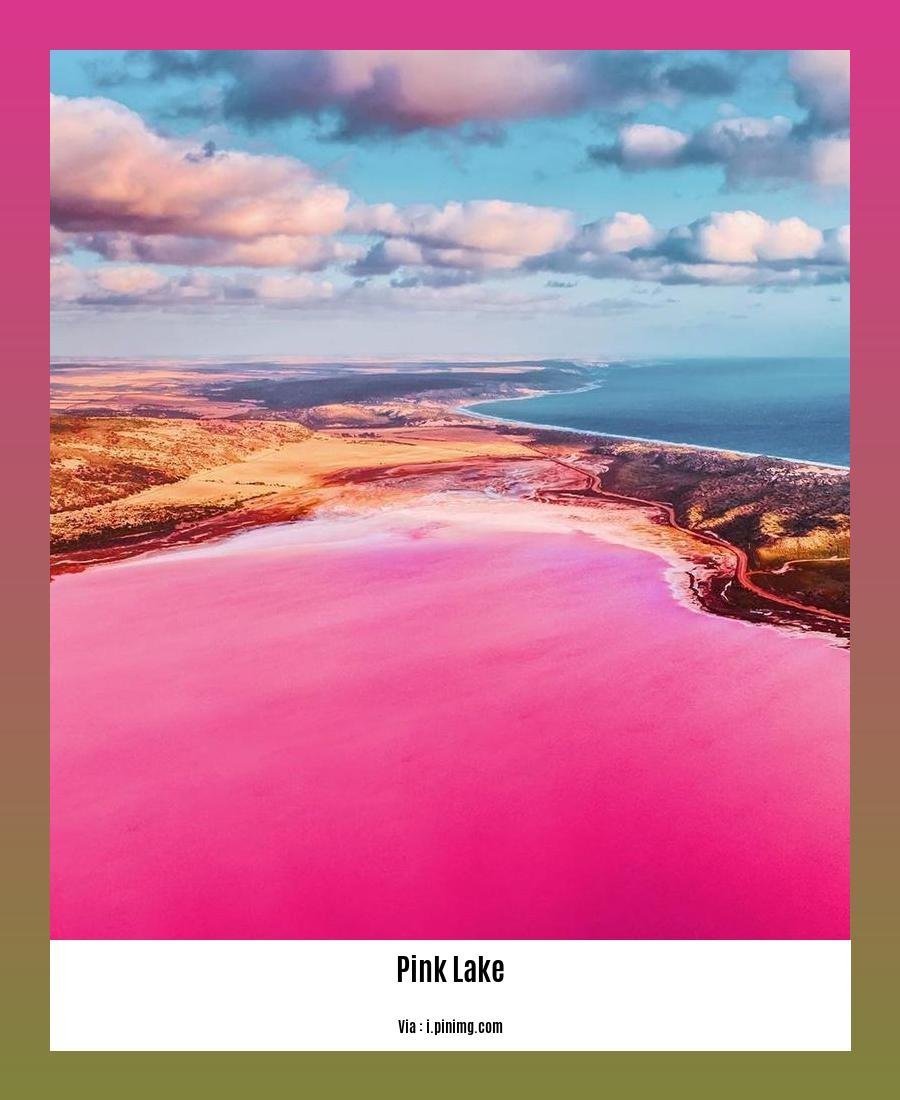 can u swim in the pink lake