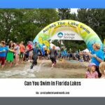 can-you-swim-in-florida-lakes_2