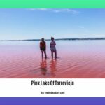 can-you-swim-in-the-pink-lake-of-torrevieja_2