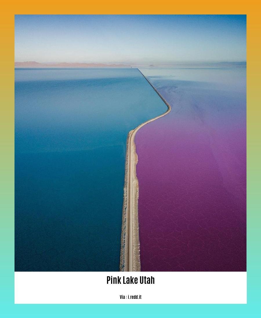 can you swim in the pink lake utah