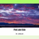 can-you-swim-in-the-pink-lake-utah_2