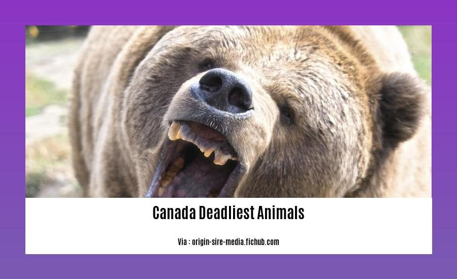 canada deadliest animals