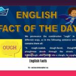 did-you-know-english-facts_2