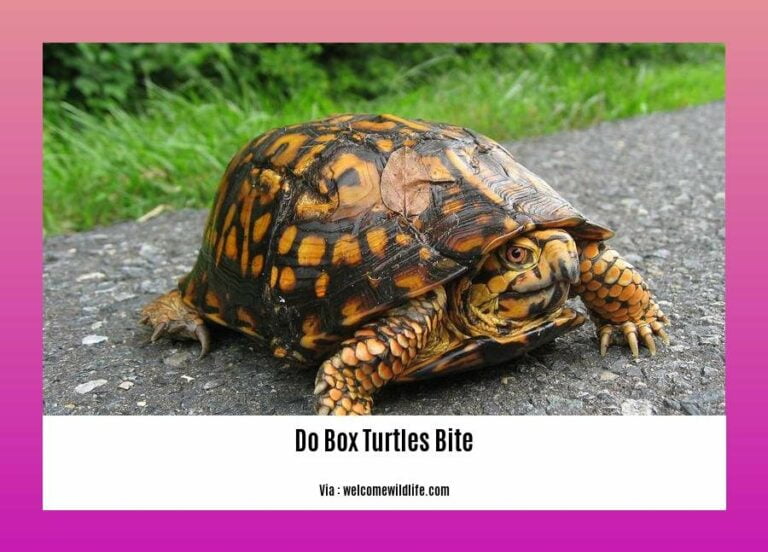Demystifying Box Turtle Bites Expert Insights on 'Do Box Turtles Bite'