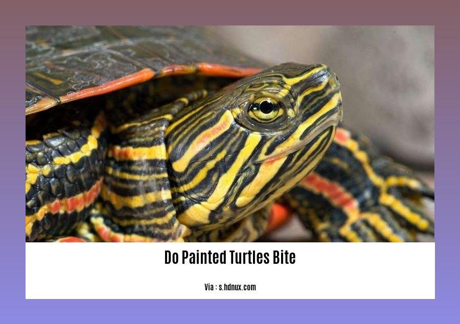 Do Painted Turtles Bite? Unveiling the Truth About Painted Turtle Behavior