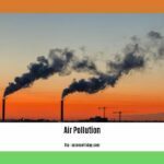 does-air-pollution-affect-animals_2