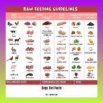 dogs-diet-facts_2