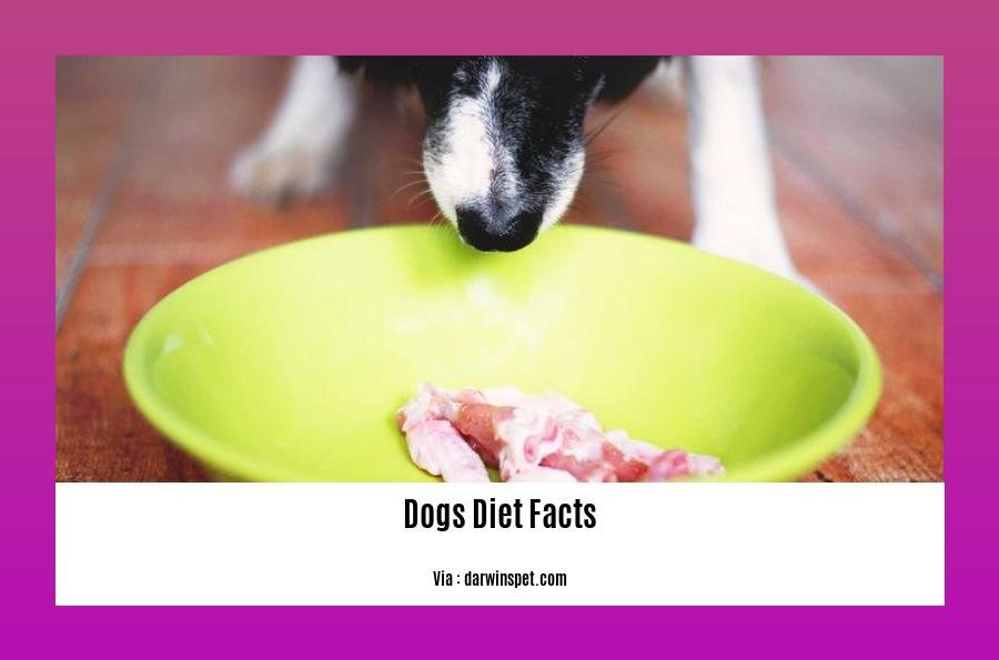dogs diet facts