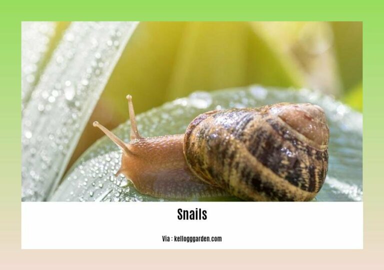 Protecting Your Canine Companion The Dangers of Dogs Eating Slugs and