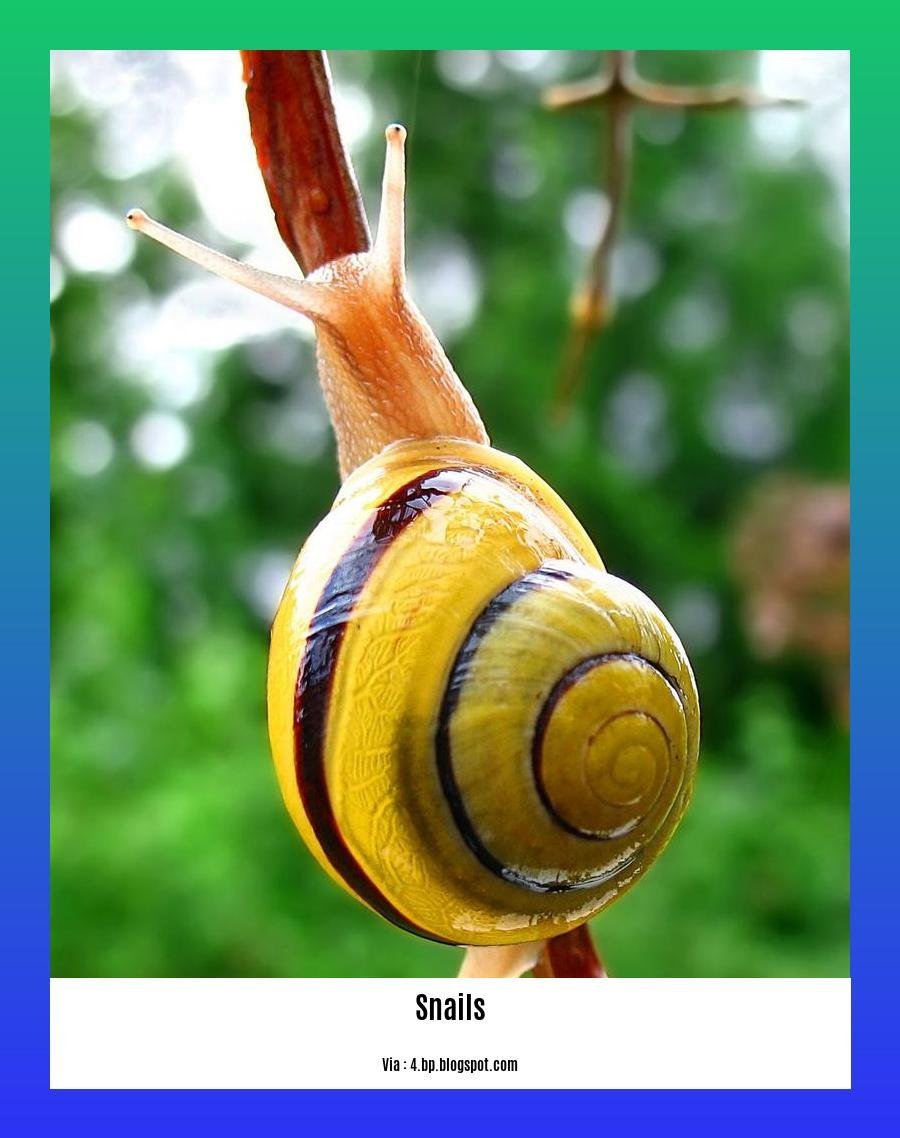 dogs eating slugs and snails