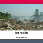 effects-of-land-pollution-in-zimbabwe_2