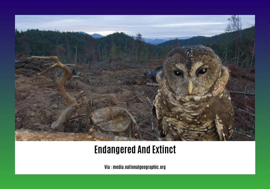 endangered and extinct species in pakistan