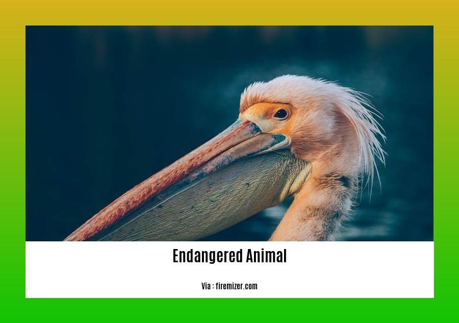 endangered animal species in pakistan
