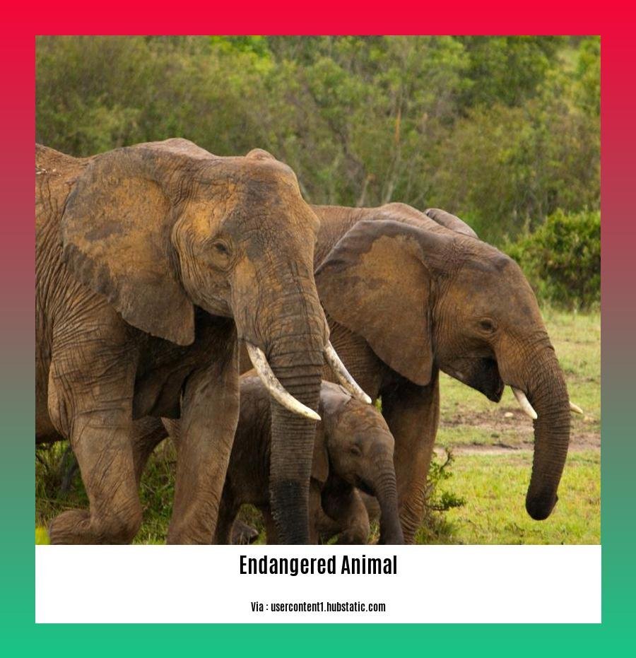 endangered animal species in pakistan 2