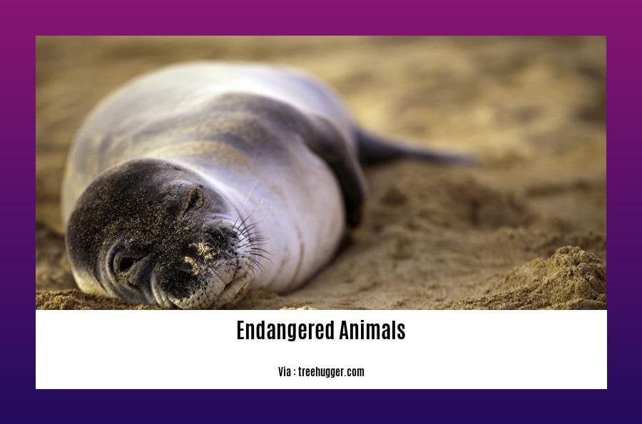 endangered animals and birds in india