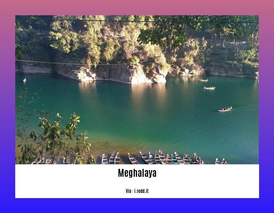 endangered species in meghalaya