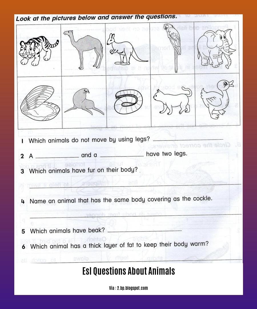 esl questions about animals