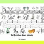 esl-questions-about-animals_2