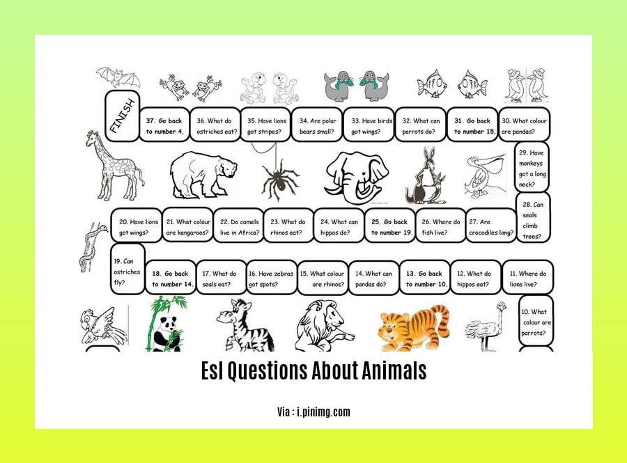 esl questions about animals 2