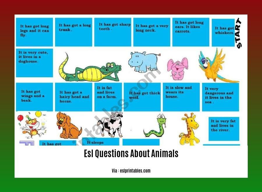 esl questions about animals