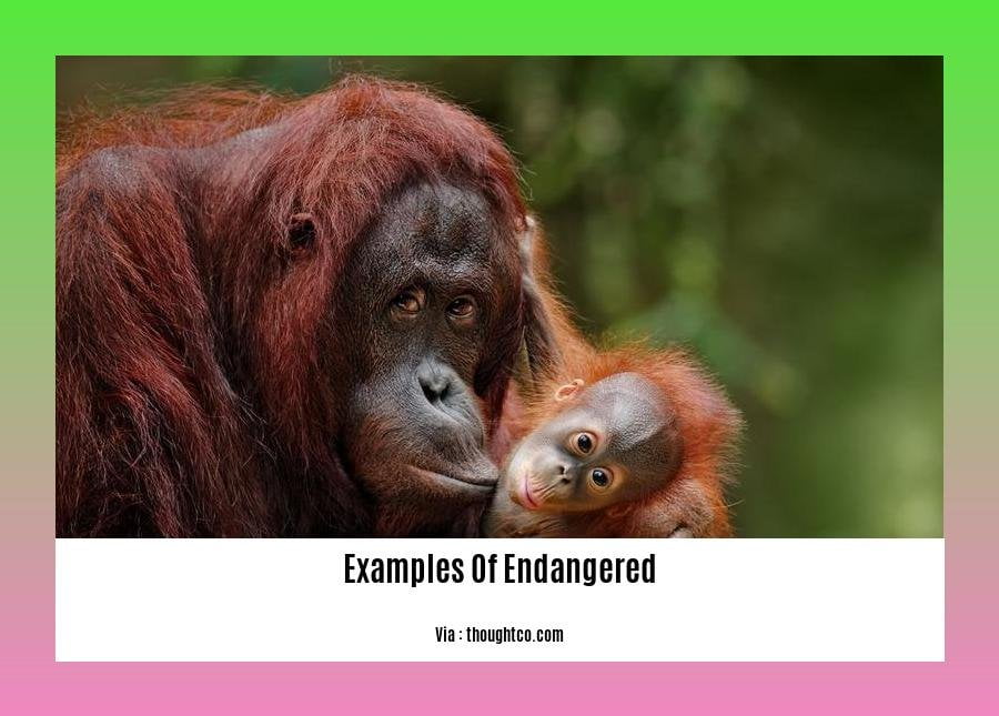 examples of endangered species in the philippines