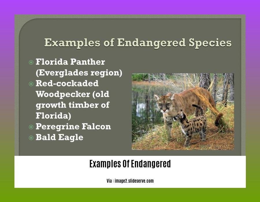 examples of endangered species in the philippines