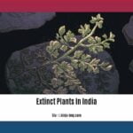 extinct-plants-in-india-with-names_2