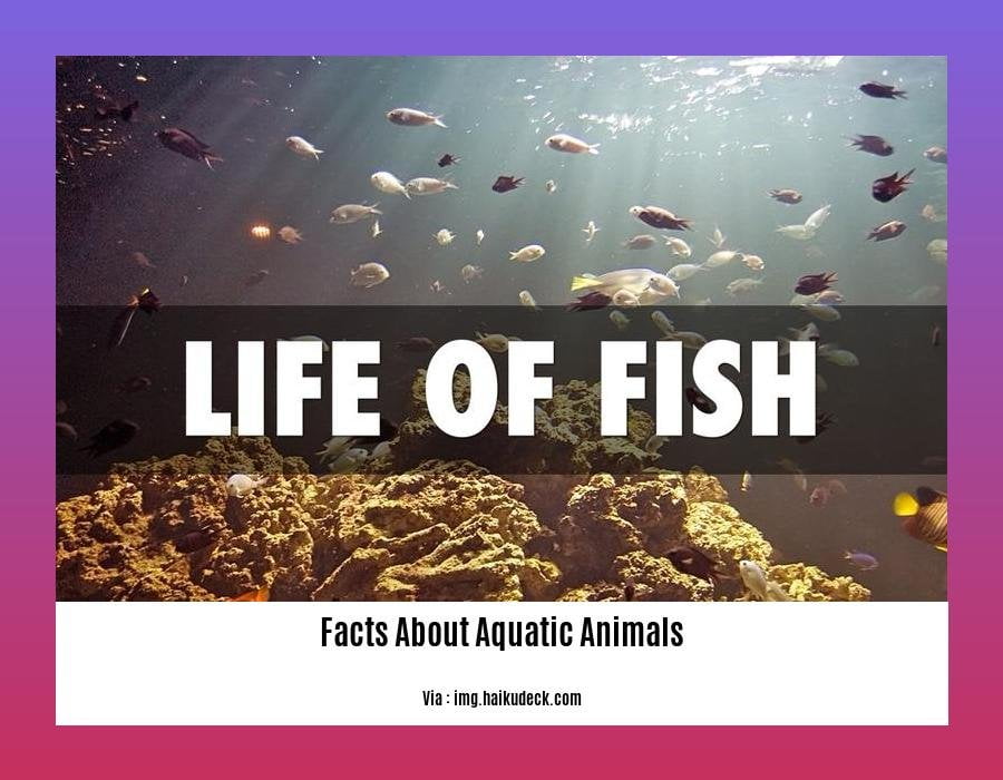 facts about aquatic animals