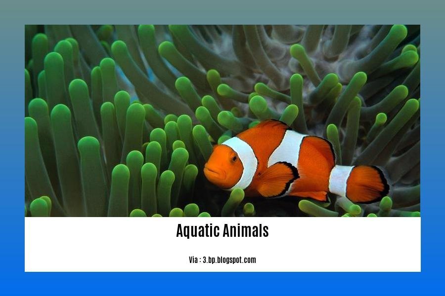 facts about aquatic animals 2
