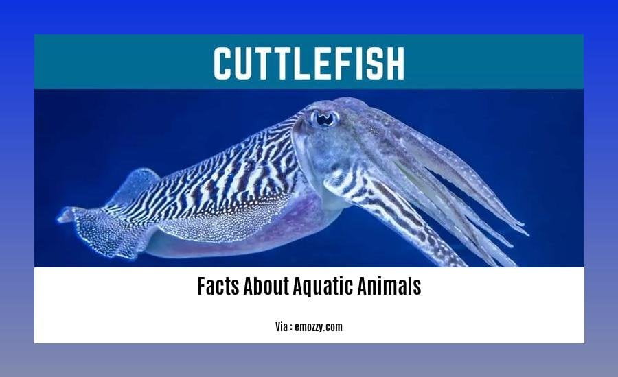 facts about aquatic animals