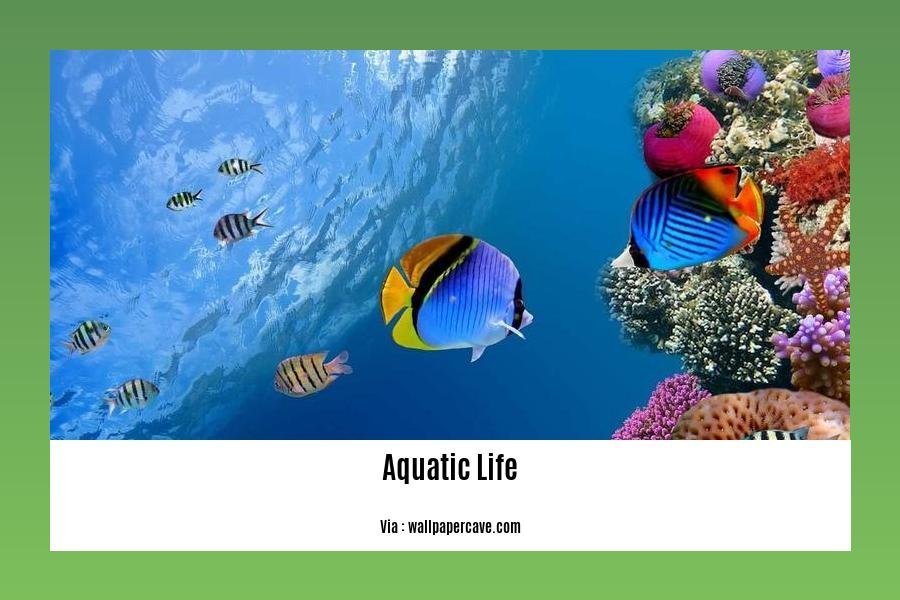 facts about aquatic life