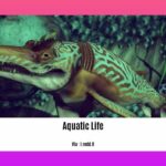facts-about-aquatic-life_2