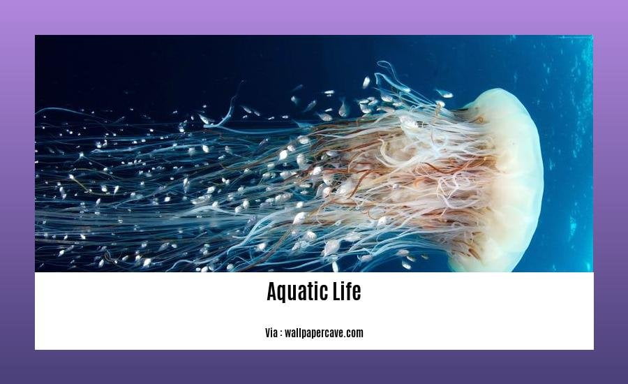 facts about aquatic life