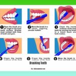 facts-about-brushing-teeth_2