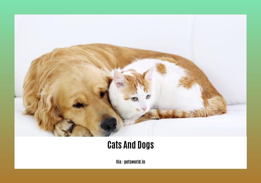 facts about cats and dogs