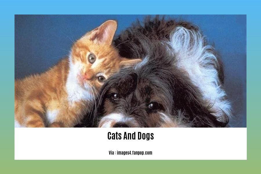 facts about cats and dogs 2
