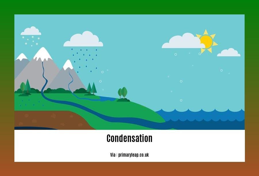 facts about condensation in the water cycle