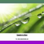 facts-about-condensation-in-the-water-cycle_2