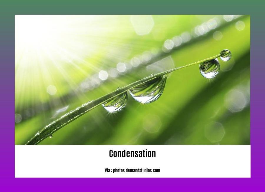facts about condensation in the water cycle 2