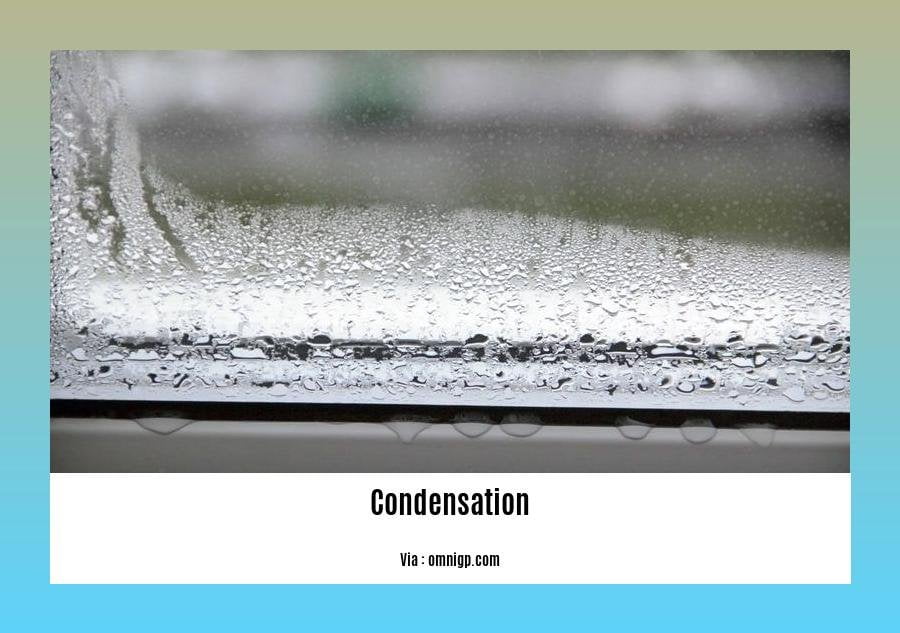 facts about condensation in the water cycle