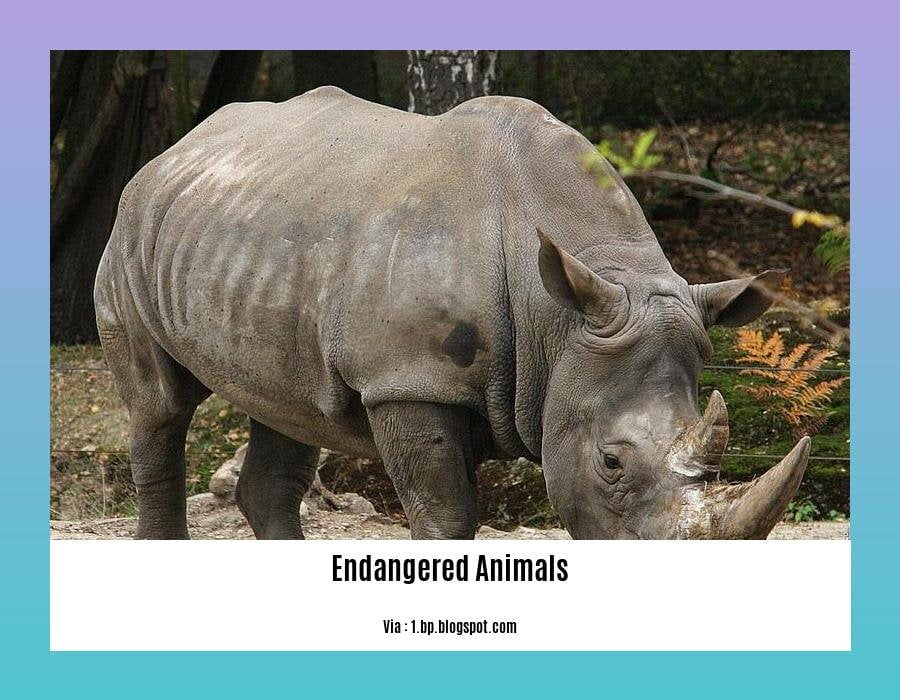 facts about endangered animals in the amazon rainforest 2