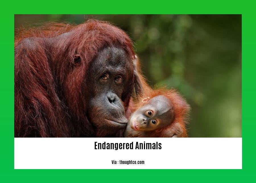 facts about endangered animals in the amazon rainforest