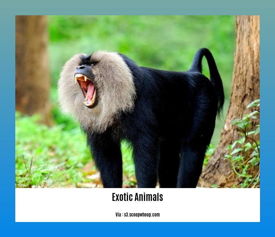 Fascinating Facts About Exotic Animals: Unveiling the Wonders of ...