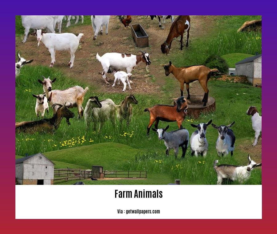 facts about farm animals