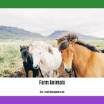 facts-about-farm-animals_2