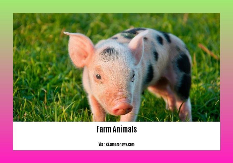 facts about farm animals