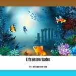 facts-about-life-below-water_2