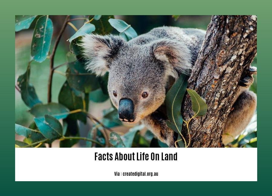 [Facts About Life on Land] Unveiling the Wonders of Terrestrial Ecosystems