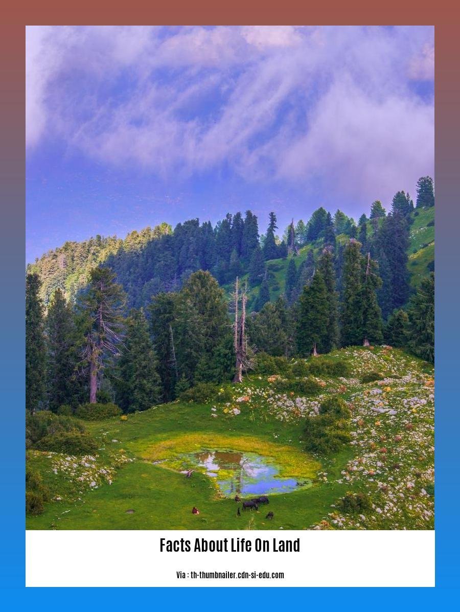 [Facts About Life on Land] Unveiling the Wonders of Terrestrial Ecosystems