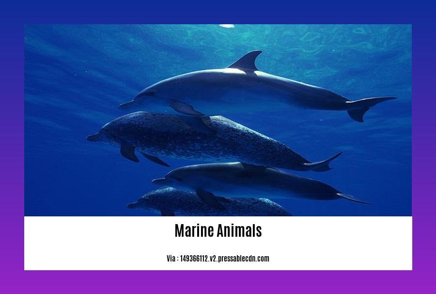facts about marine animals